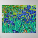 Recherche de iris van gogh posters Artiste