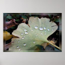 Search for autumn background posters Closeup