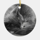 Search for sleeping cat ornaments Grey