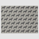 Recherche de canine tissue papier Chien