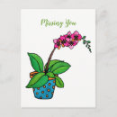Recherche de orchidée cartes postales Amoureux des orchidées