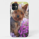 Recherche de yorkshire iphone coques Terrier