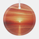 Search for dramatic ornaments Nature