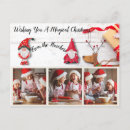 Search for christmas magic postcards Gnomes