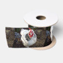Search for chicken ribbon Poultry