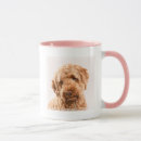 Search for goldendoodle puppy mugs Adorable