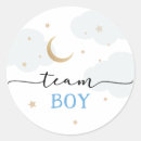 Search for gender reveal boy stickers Twinkle little star