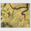 Search for cherry blossoms wrapping paper Gold