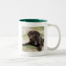 Search for chocolate lab puppy mugs Dog