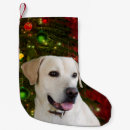 Search for yellow lab christmas stockings Xmas