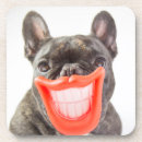 Recherche de bouledogue français bar Sourire