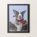 Search for border collie puzzles Black and white