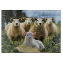 Recherche de moutons planches à découper Agneau