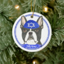 Search for star of david ornaments Blue and white