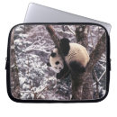 Search for animal behaviour electronics Bear