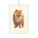 Recherche de race voiture accessoires Chiot