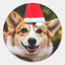 Search for corgi dog stickers Funny