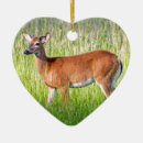 Recherche de outdoorsman maison deco Cerf