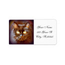 Search for black kittens return address labels Pets