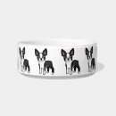 Recherche de boston terrier et bande Animal familier