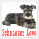 Search for schnauzer stickers Puppy