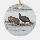 Search for wild turkey ornaments Turkeys