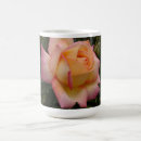 Recherche de hybride tasses Rose