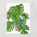 Recherche de pointiller cartes postales Botanique