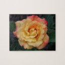 Recherche de beautiful pink rose Nature