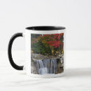 Search for duval mugs Landscape