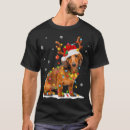 Search for dashund Pets