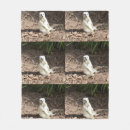 Search for meerkat blankets Animal