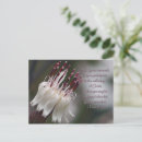 Search for 13 1 postcards Inspirational