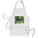 Search for tropical butterflies aprons Insects
