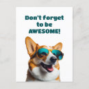 Recherche de texte humoristique cartes postales Pour tous