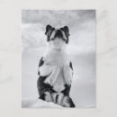 Recherche de compagnon cartes postales Chiot
