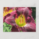 Recherche de bela posters Fleur