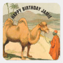 Search for desert camel stickers Asia