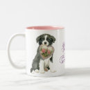 Recherche de de border collie tasses Chiot