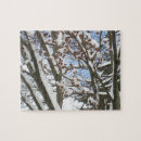 Search for japanese maple tree Blue
