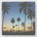 Recherche de font dessous de verres Nature