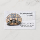 Search for pet reptile business cards Turtle