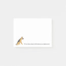 Recherche de shepard allemand Animal de compagnie