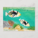 Search for trigger fish Nature
