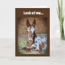 Search for 70th birthday wishes Friend