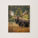 Recherche de moose puzzles Faune