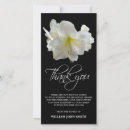 Recherche de amaryllis vœux cartes Sympathie