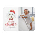 Search for dog magnets Merry christmas