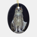 Search for white owl ornaments Raptor