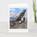 Recherche de faucon harris cartes postales Oiseau de proie